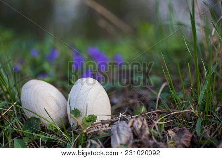 Two White Wooden Easter Eggs With A Branch Of Apricot In Green Grass. Easter Background. Search For 