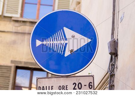 Road Sign That Looks Like A Fish, Street Art, Metropolitan Art