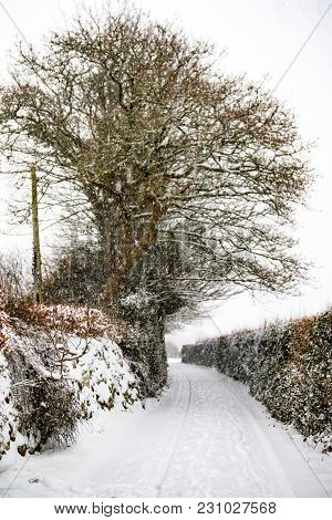 Snow Covered Landscape During The Beast From The East Winter Storm