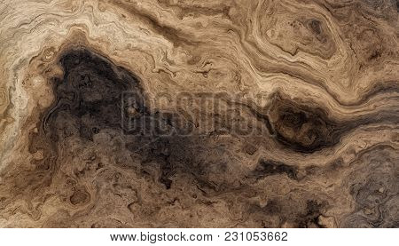 Texture Of Roots Of Tree With Wavy Lines And Age Rings. Colored Abstract Background.