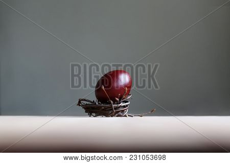 Easter Egg In The Nest On Grey Background