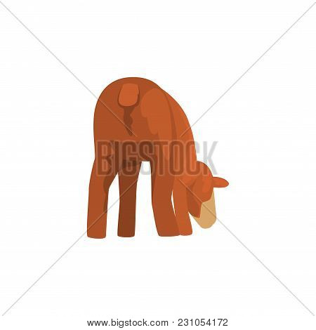 Cute Brown Lamb Back View Vector Illustration Isolated On A White Background.