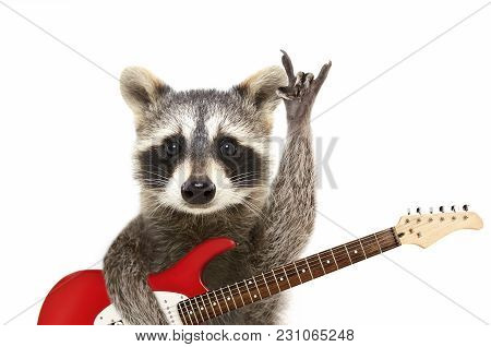 Portrait Of A Funny Raccoon With Electric Guitar, Showing A Rock Gesture, Isolated On White Backgrou