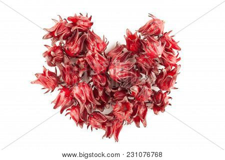 Red Roselle Isolated