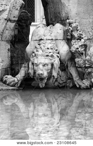Lion - Detail der Bernini-Brunnen auf der Piazza Navona