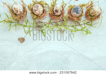 Easter Background With Easter Eggs, Pussy-willow And Spring Flowers. Top View With Copy Space