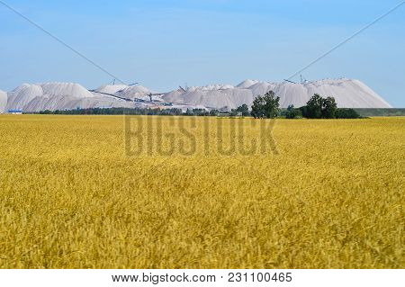 Industrial Enterprise For Production Of Potash Fertilizers.