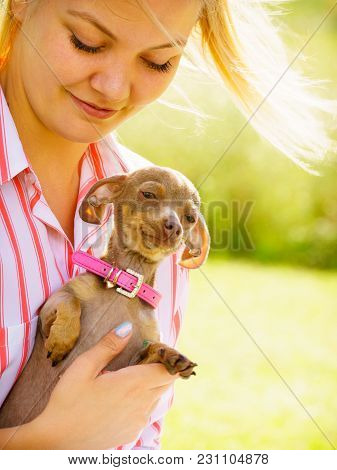 Woman Playing With Little Pinscher Ratter Prazsky Krysarik Crossbreed Hugging Small Dog Outside On G
