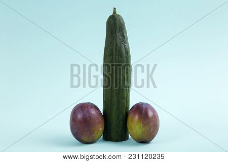 Penis Cucumber