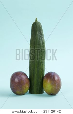 Penis Cucumber