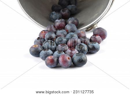 Colorful And Crisp Image Of Highbush Blueberry With Tin Bucket On White
