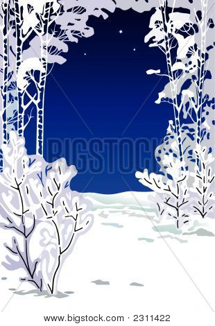Träd täckta med en snö i en vintersäsong på natten