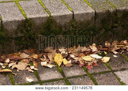 Beautiful Orange Autumnal Leaves On Stairs. Seasonal Concepy.