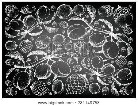 Tropical Fruits, Illustration Wall-paper Background Of Hand Drawn Bunch Of Sketch Rattan Fruits And 
