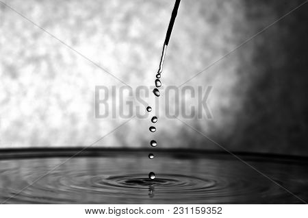 Black And White Photo Of A Drop On The Tip Of A Needle Macro.