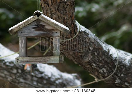 Bird House In Winter Covered With Snow