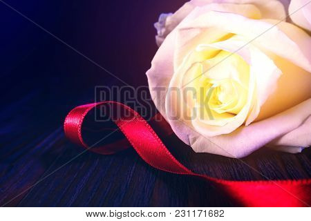 White Rose Flower With Reed Bow On Vintage Wooden Table With Dark Background. Greeting Card For Birt