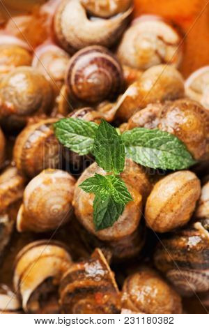 closeup of a bowl with spanish caracoles en salsa, cooked snails in sauce