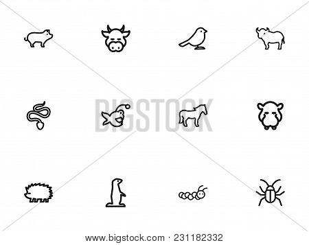 Set Of 12 Editable Zoology Icons Line Style. Includes Symbols Such As Larva, Crow, Fish And More. Ca