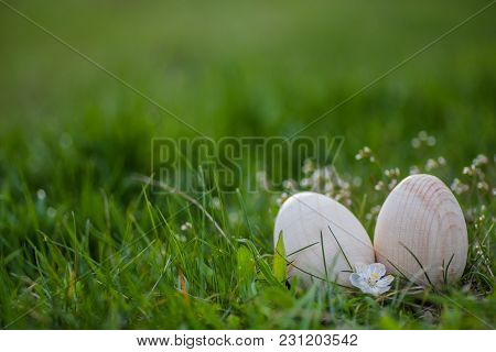 Two White Wooden Easter Eggs With A Branch Of Apricot In Green Grass. Easter Background. Search For 