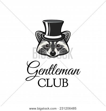 Raccon Gentleman In Top Hat. Gentleman Club Text. Vector Illustration. Cartoon Animal.