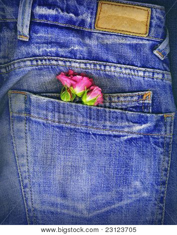 Ein paar Rosen, die in einer Jeans-Tasche verstaut. Conceptual Image für Liebe, Valentinstag, etc..