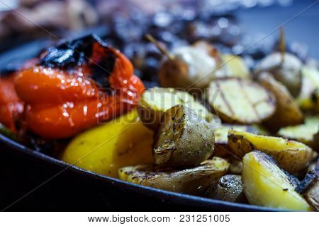 Freshly Cooked Grilled Vegetables, Tomatoes, Mushrooms, Eggplant, Pepper ...