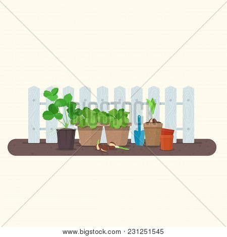 Young Plants In Plastic And Biodegradable Peat Pots Against Wood Fence. Vector Gardening Concept