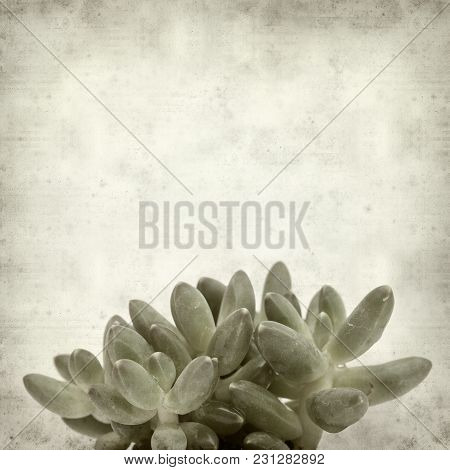 Textured Old Paper Background