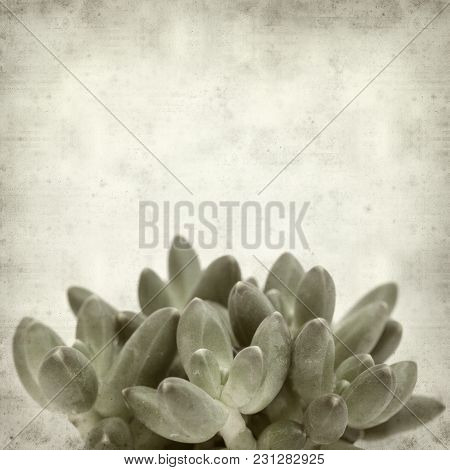 Textured Old Paper Background