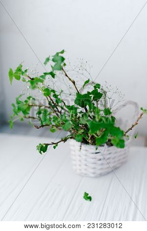 Branches With Green Leaves In A Basket On A Wooden Background.