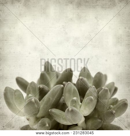 Textured Old Paper Background