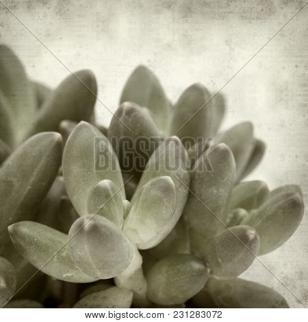 Textured Old Paper Background