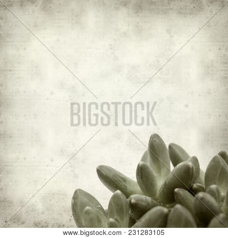 Textured Old Paper Background