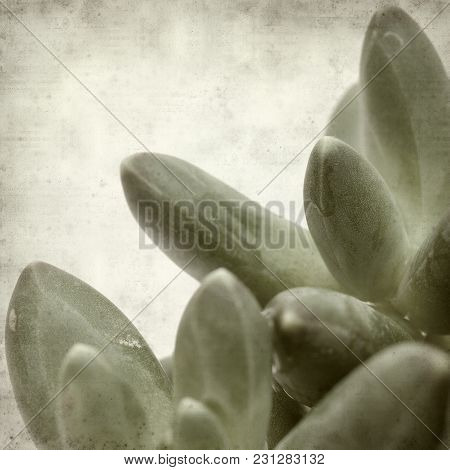 Textured Old Paper Background
