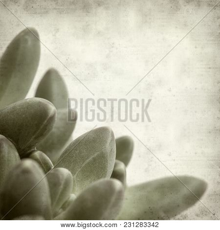 Textured Old Paper Background