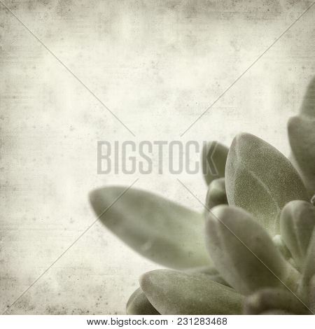 Textured Old Paper Background