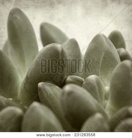 Textured Old Paper Background