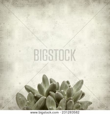 Textured Old Paper Background