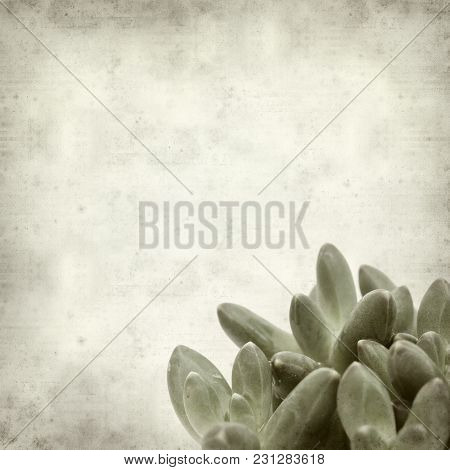 Textured Old Paper Background
