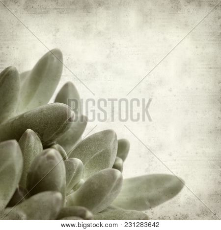 Textured Old Paper Background