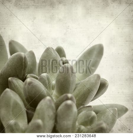 Textured Old Paper Background