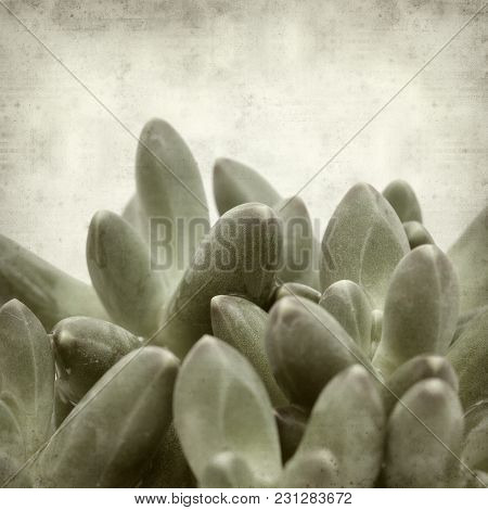 Textured Old Paper Background