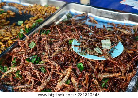 Grasshoppers Fried For Sale At Street Market In Thailand
