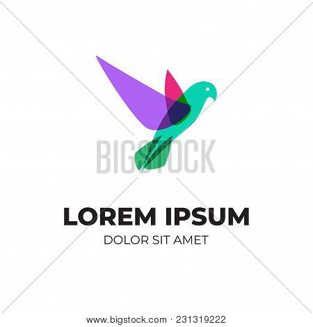 Abstract Colorful Bird, Modern Logo With Overlapping Vibrant Color