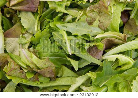 Salad Mix