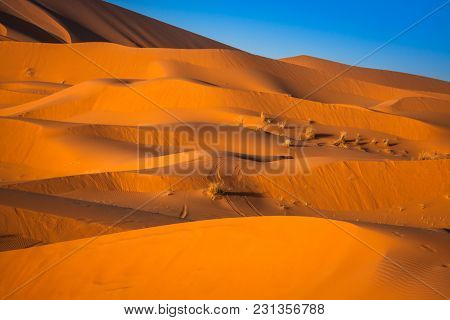 Sand Dunes In The Sahara Desert, Merzouga, Morocco