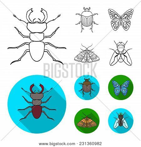 Wrecker, Parasite, Nature, Butterfly .insects Set Collection Icons In Outline, Flat Style Vector Sym