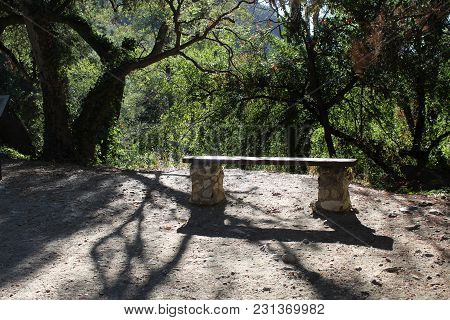 Bench On The Forest Hiking Trail Stone