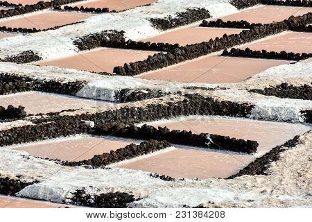 Picture Photo Of Salt Flats In The Canry Islands
